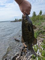 PXL_20250530_193504510.jpg