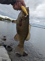 PXL_20250523_211605432.jpg
