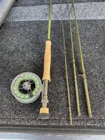 IMG_6286.jpeg