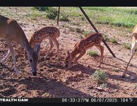 IMG_6239.jpeg