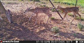IMG_6243.jpeg
