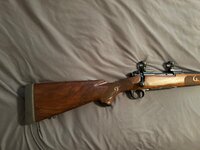 IMG_0135.jpeg