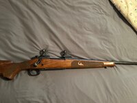 IMG_0136.jpeg