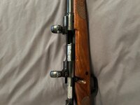 IMG_0140.jpeg