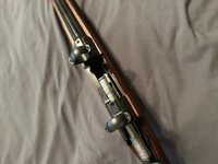 IMG_0139.jpeg