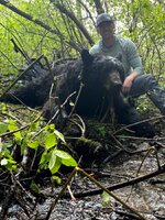 Idaho Bear 25.jpg