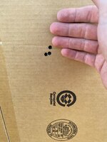IMG_6586.jpeg