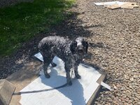 IMG_3260.jpeg