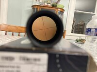 IMG_2890.jpeg