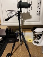IMG_5199.jpeg