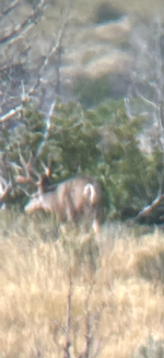 IMG_2419.png