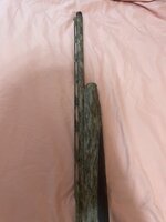 IMG_2185.jpeg