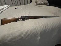 IMG_2209.jpeg