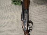 IMG_2207.jpeg