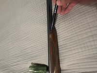 IMG_2206.jpeg