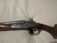 IMG_2205.jpeg