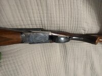 IMG_2208.jpeg
