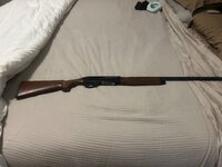 IMG_1965.jpeg