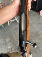 IMG_4596.jpeg