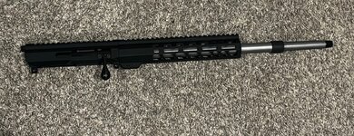 IMG_3785.jpeg