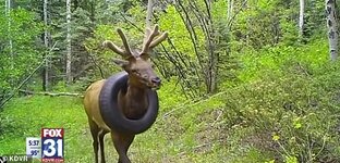 IMG_0648.jpeg