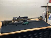 IMG_3175.jpeg