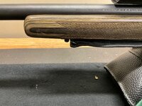 IMG_3179.jpeg
