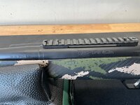 IMG_3149.jpeg