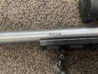 IMG_8027.jpeg