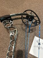 IMG_4136.jpeg