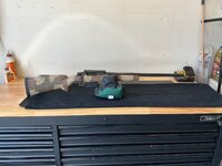 IMG_3155.jpeg