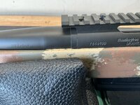 IMG_3158.jpeg
