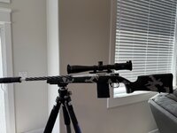 IMG_3519.jpeg