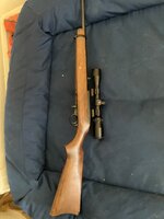 IMG_2509.jpeg