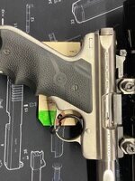 IMG_2515.jpeg