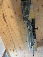 IMG_0300.jpeg