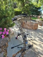 20250608_173008.jpg