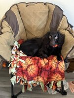 IMG_2283.jpeg