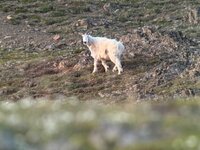 IMG_8823.jpeg