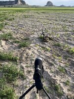 IMG_3118.jpeg