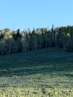 PXL_20250614_130030079.jpg