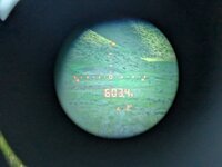 PXL_20250614_130638197.jpg