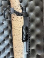 IMG_8175.jpeg