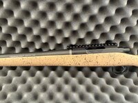 IMG_8177.jpeg