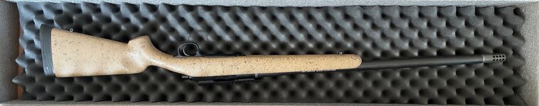 IMG_8179.jpeg