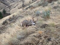 IMG_2044.jpeg