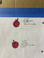 IMG_4034.jpeg