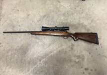 IMG_1398.jpeg