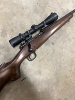 IMG_1405.jpeg