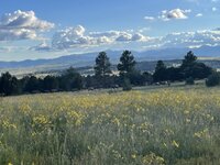 IMG_5885.jpeg